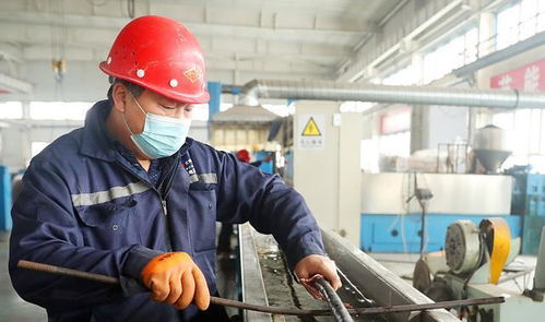 越底層的人越要學(xué)英語, 儲(chǔ)殷教授批判血汗工廠, 技工出路在國外