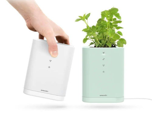 2020年設(shè)計(jì)流行話題 人與自然